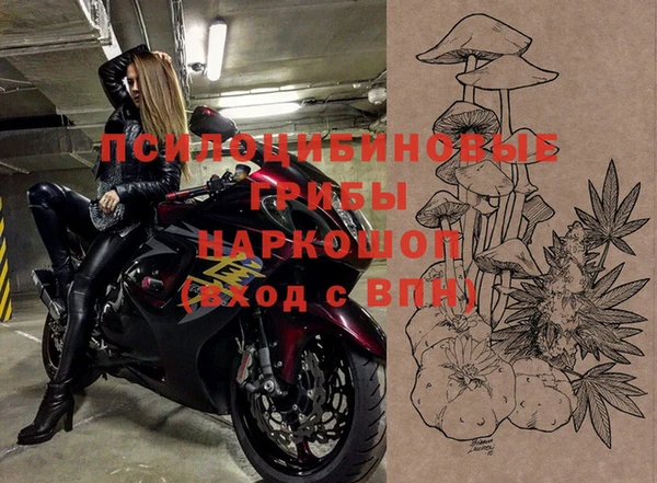 стаф Пестово