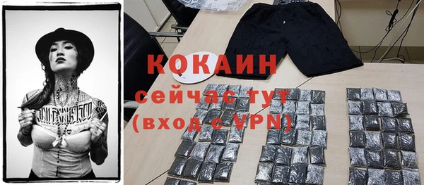 стаф Пестово